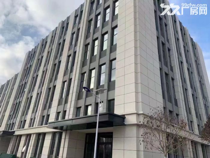 可租可售全新独栋厂房 开发商直出  有政府扶持
