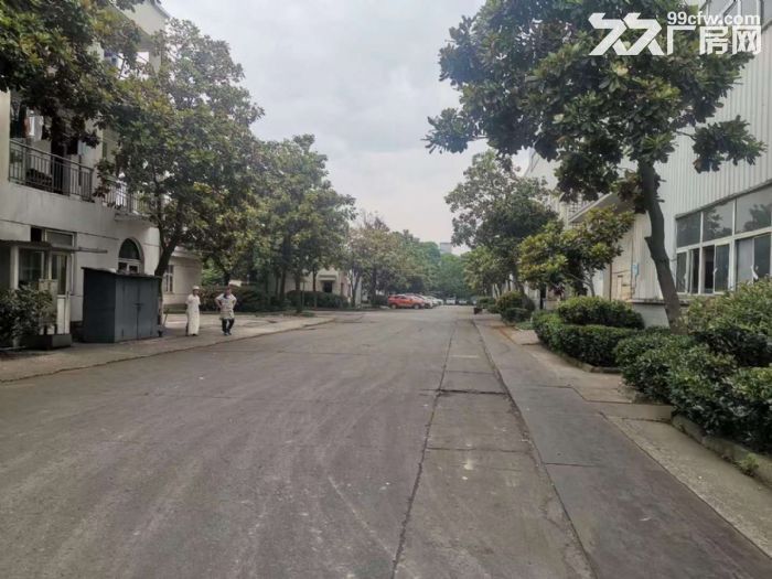 业主出租，康桥东路1111号单层厂房25000平4S店汽车维修汽车检测-图3