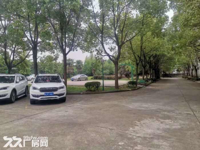 业主出租，康桥东路1111号单层厂房25000平4S店汽车维修汽车检测-图5