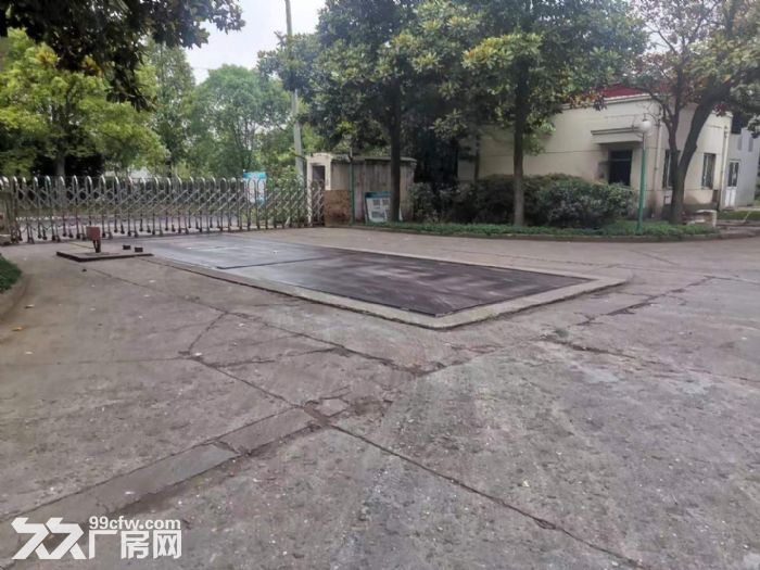 业主出租，康桥东路1111号单层厂房25000平4S店汽车维修汽车检测-图4