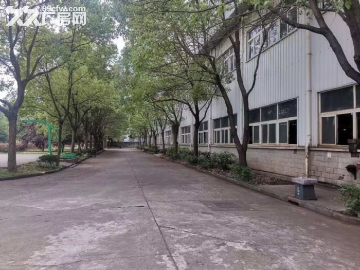 业主出租，康桥东路1111号单层厂房25000平4S店汽车维修汽车检测-图6