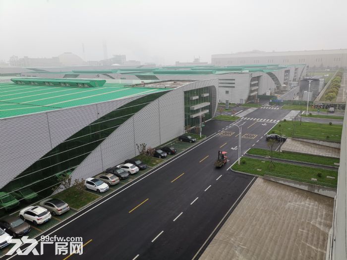 全新高标厂房4300平，出租-图2