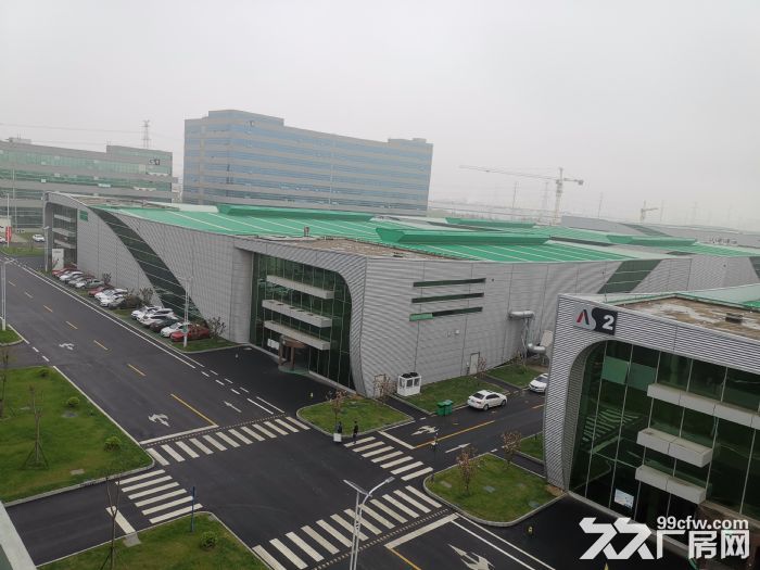 全新高标厂房4300平，出租-图3