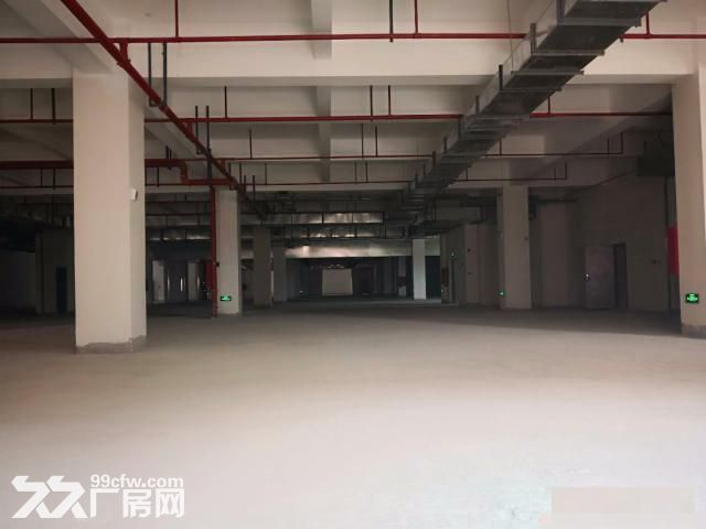 新桥独院专业食品园区全新独栋厂房，三证齐全