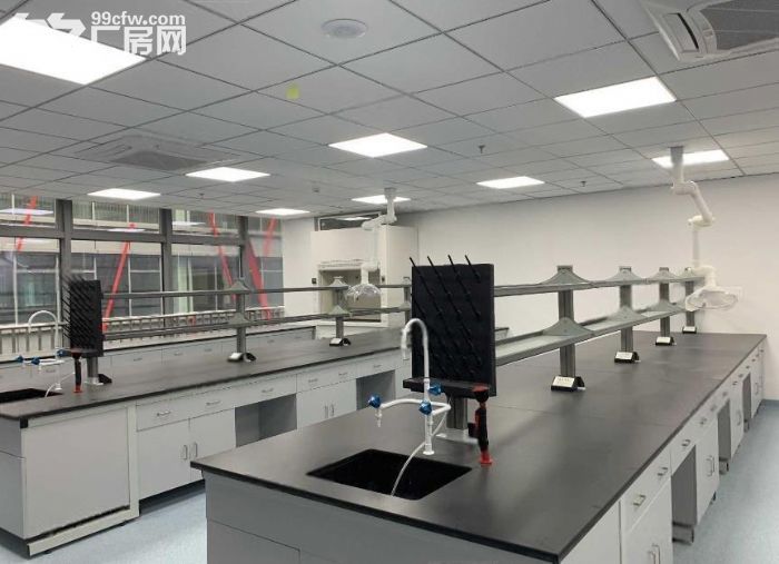 浦东孵化平台 精装生物园区实验室面积105平起 环评注册报证-图3