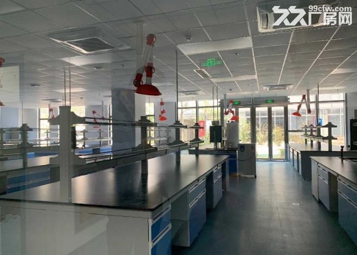 浦东孵化平台 精装生物园区实验室面积105平起 环评注册报证-图4